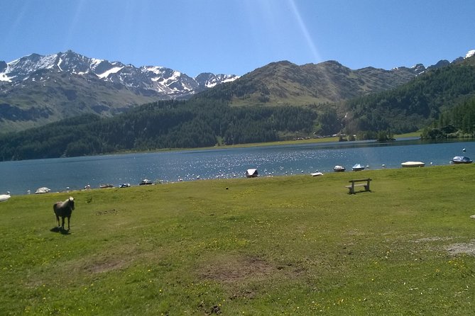 Private tour to Bernina train & Lake Como. Hotel pick-up - Riding the red Bernina train