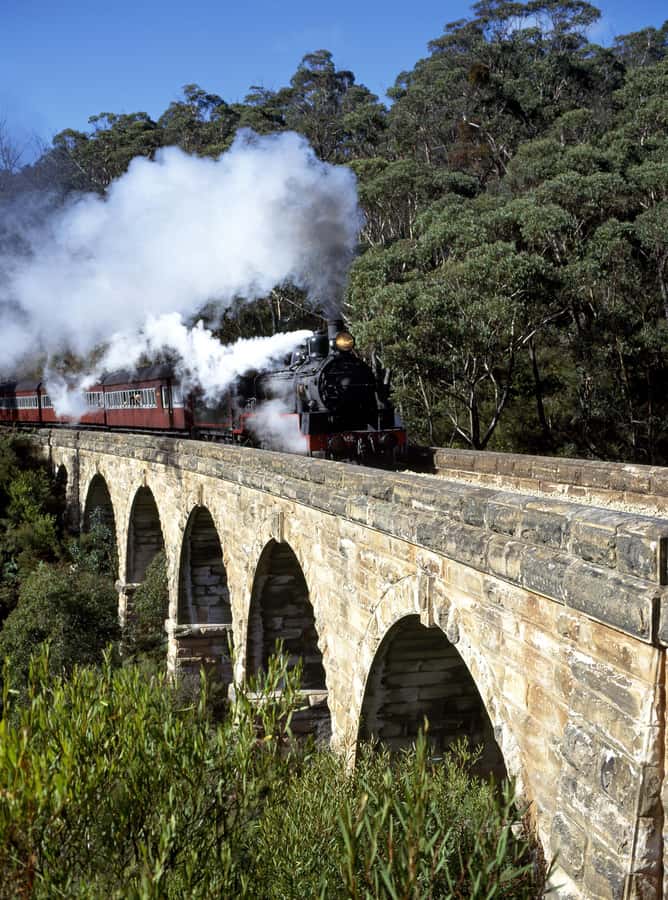 Private Tour to Dandenong Ranges & Puffing Billy Steam Train - Riding Puffing Billy through the Dandenong forest