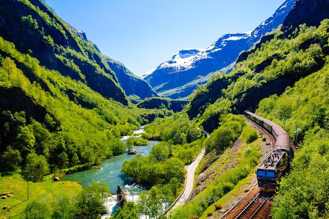 Private tour - Viking Village, Nærøyfjord Cruise and Flåm Railway - Njardarheimr brings Gudvangen’s Viking past to life