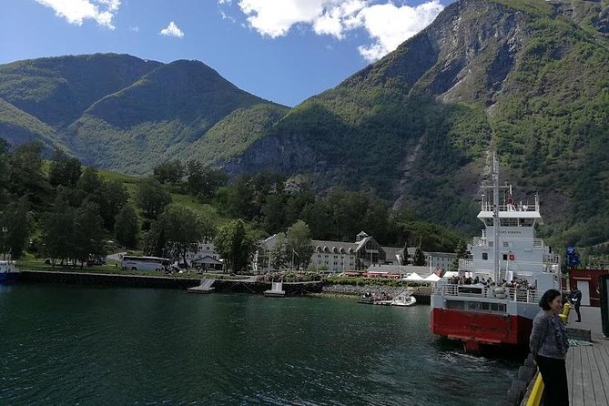 Private tour - Viking Village, Nærøyfjord Cruise and Flåm Railway - Nærøyfjord is the reason to take the boat