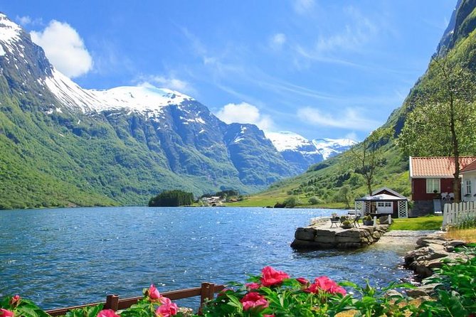 Private tour - Viking Village, Nærøyfjord Cruise and Flåm Railway - The Flåm Railway is a one-hour mountain climb