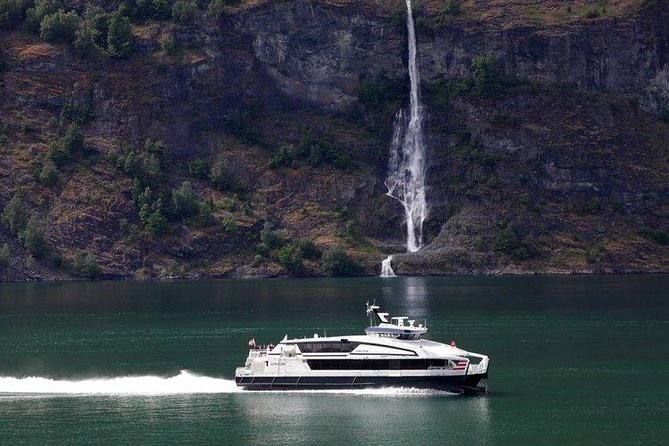 Private tour - Viking Village, Nærøyfjord Cruise & Flåm Railway - Aurlandsfjord and Flåm: two different views of the water