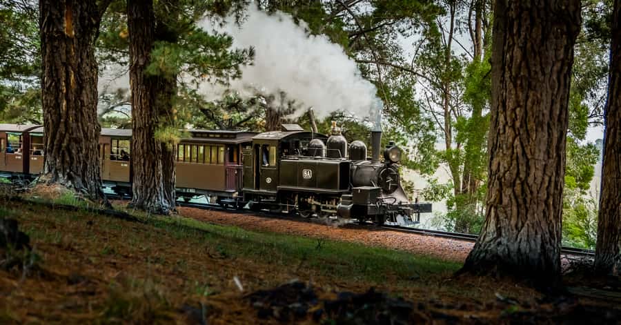 Puffing Billy Railway: Heritage Steam Train Journey - Why Puffing Billy feels different from a standard train ride
