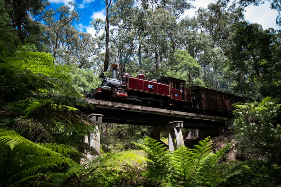 Puffing Billy Railway: Heritage Steam Train Journey - What to expect at Lakeside and Emerald Lake Park