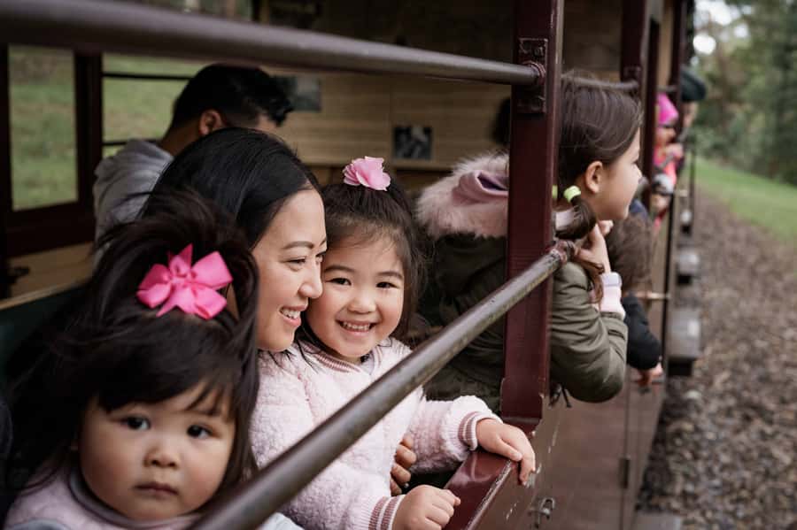 Puffing Billy Railway: Heritage Steam Train Journey - Is the $29 price good value?