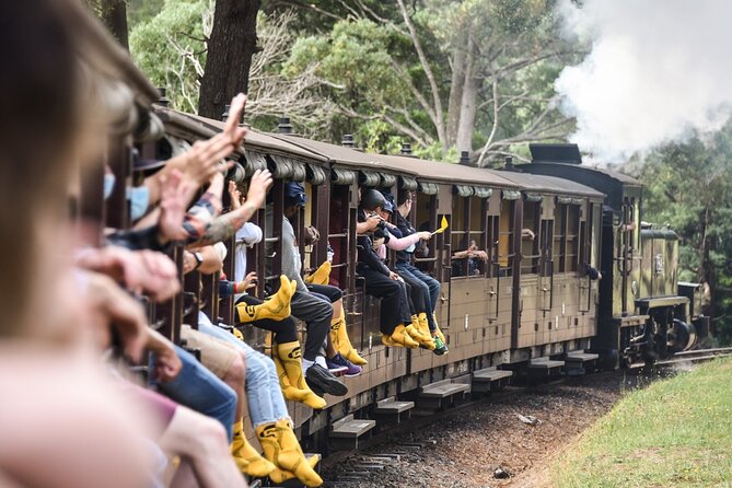 Puffing Billy Steam Train and Penguins Wildlife Tour - Key points at a glance