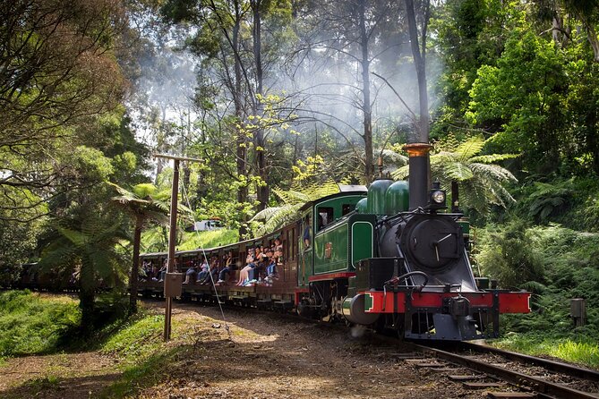 Puffing Billy Steam Train and Penguins Wildlife Tour - Why this Melbourne day tour works