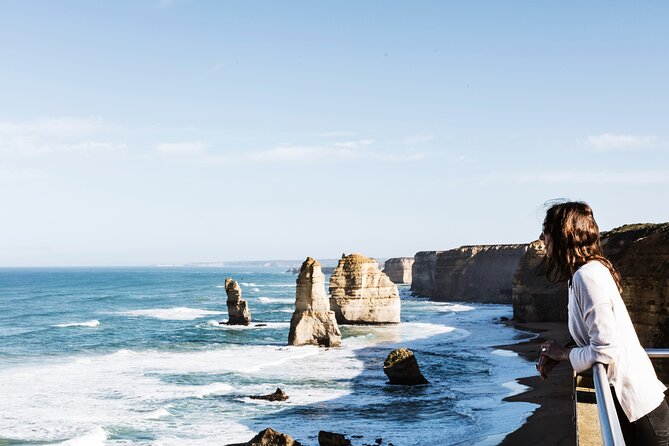 Puffing Billy Steam Train and Penguins Wildlife Tour - Who should book this tour?