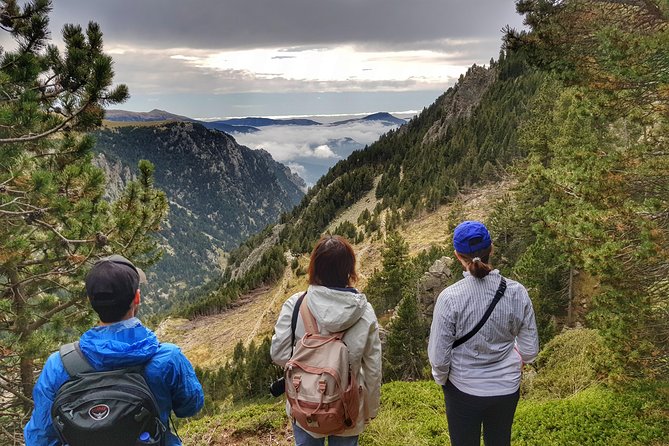 Pyrenees Mountain Train and Nature Walk - What the gorge route feels like on foot