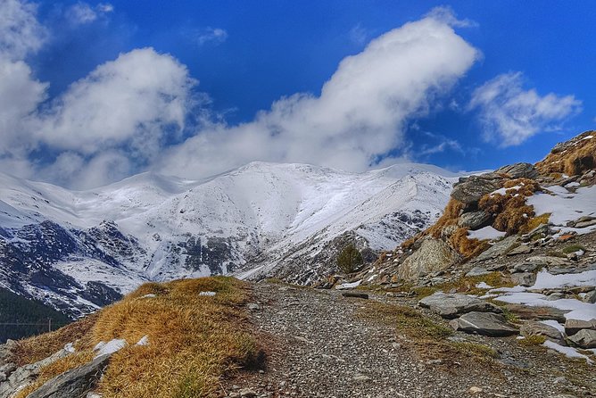 Pyrenees Mountain Train and Nature Walk - Who will enjoy this Pyrenees outing most