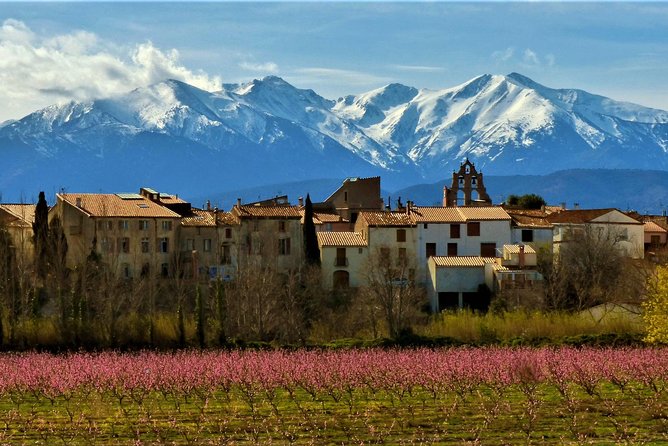 Pyrenees Private Tour from Barcelona with Easy Hike & Cogwheel Train - The two-hour ride north from Barcelona