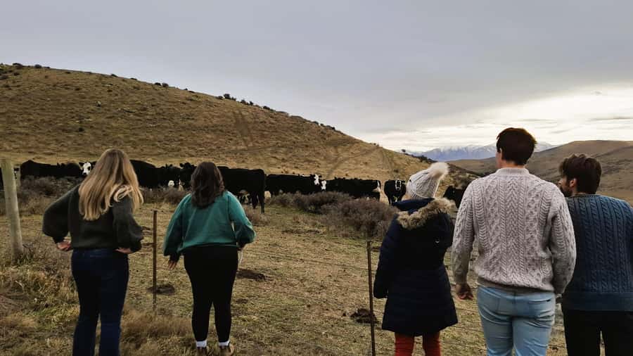 Queenstown to Dunedin Incl Taieri Gorge Train (One-Way) - St Bathans, Blue Lake, and a ghost town atmosphere