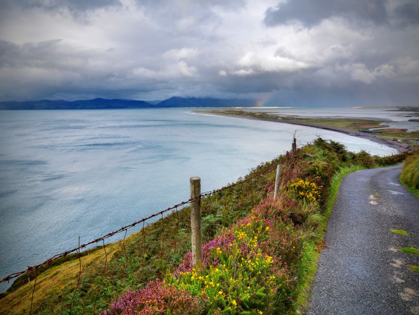 Rail Tour from Dublin: The Ring of Kerry - Dingle Bay and Kerry’s rugged coast