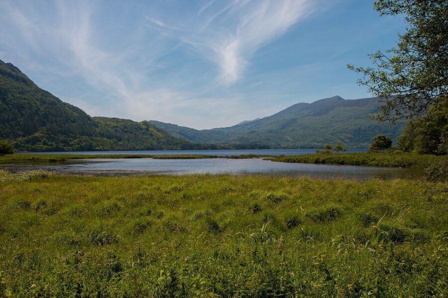 Rail Tour from Dublin: The Ring of Kerry - Stops beyond the viewpoints
