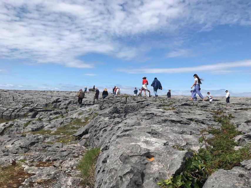 Rail Tour: The Cliffs of Moher & Bunratty Castle Tour - The return train to Dublin