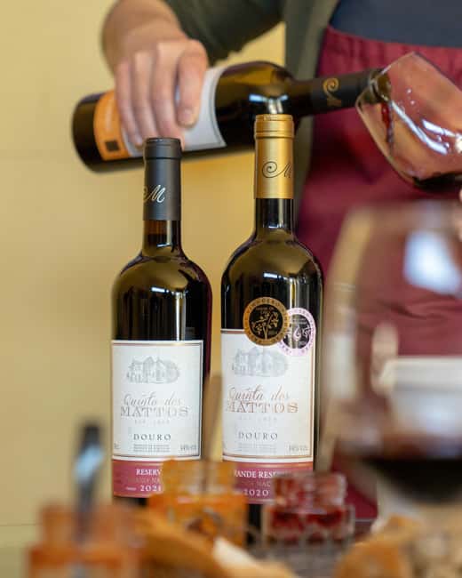 Régua: Wine tasting at a Quinta, traditional lunch, cruise, and train ride - Five things that make this Douro day special