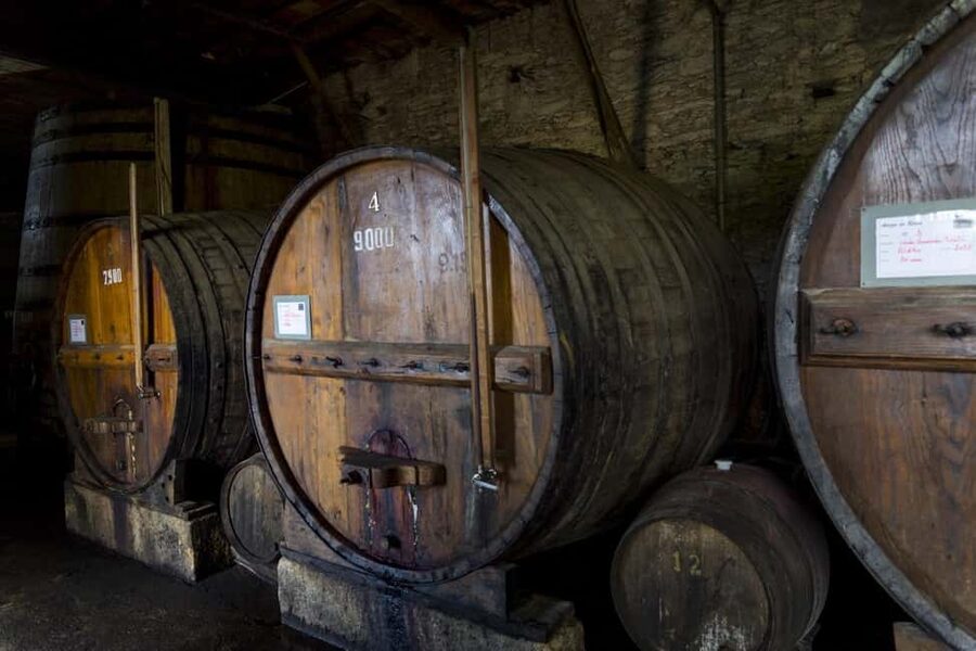 Régua: Wine tasting at a Quinta, traditional lunch, cruise, and train ride - Why this Régua tour works so well