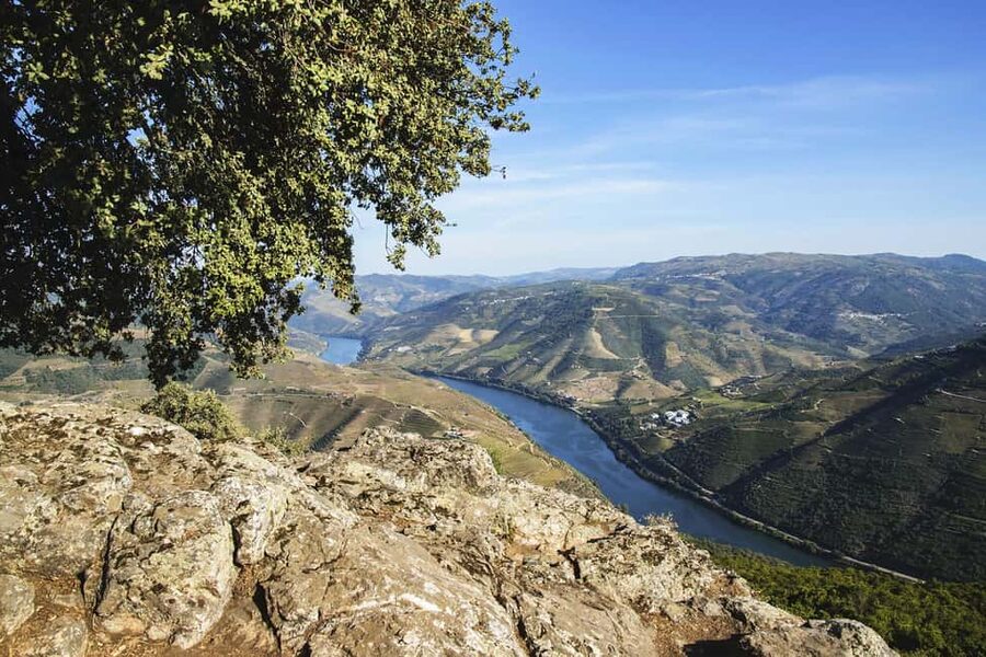 Régua: Wine tasting at a Quinta, traditional lunch, cruise, and train ride - A two-hour lunch at Quinta da Laceira