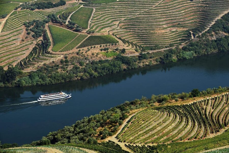 Régua: Wine tasting at a Quinta, traditional lunch, cruise, and train ride - Cruising from Régua to Pinhão