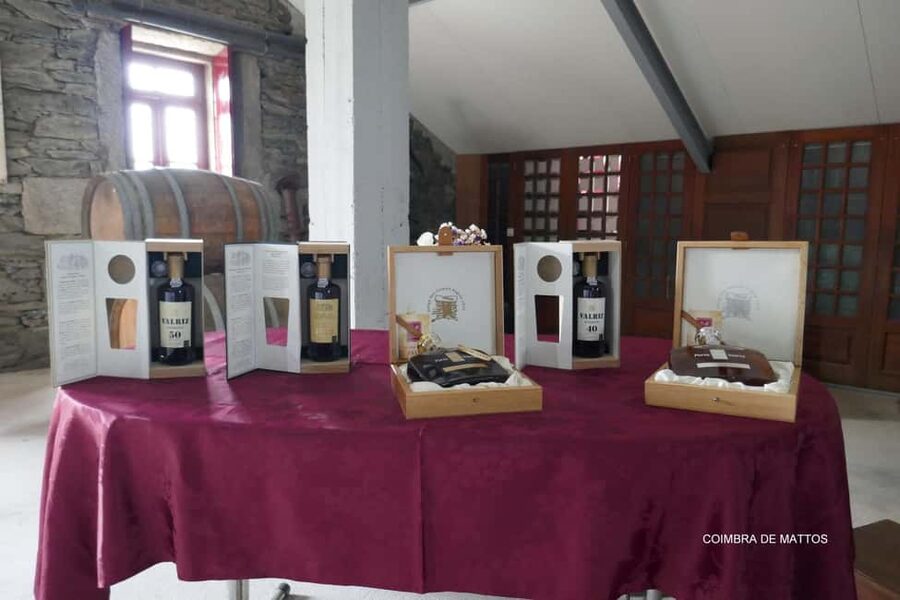 Régua: Wine tasting at a Quinta, traditional lunch, cruise, and train ride - The November to March change