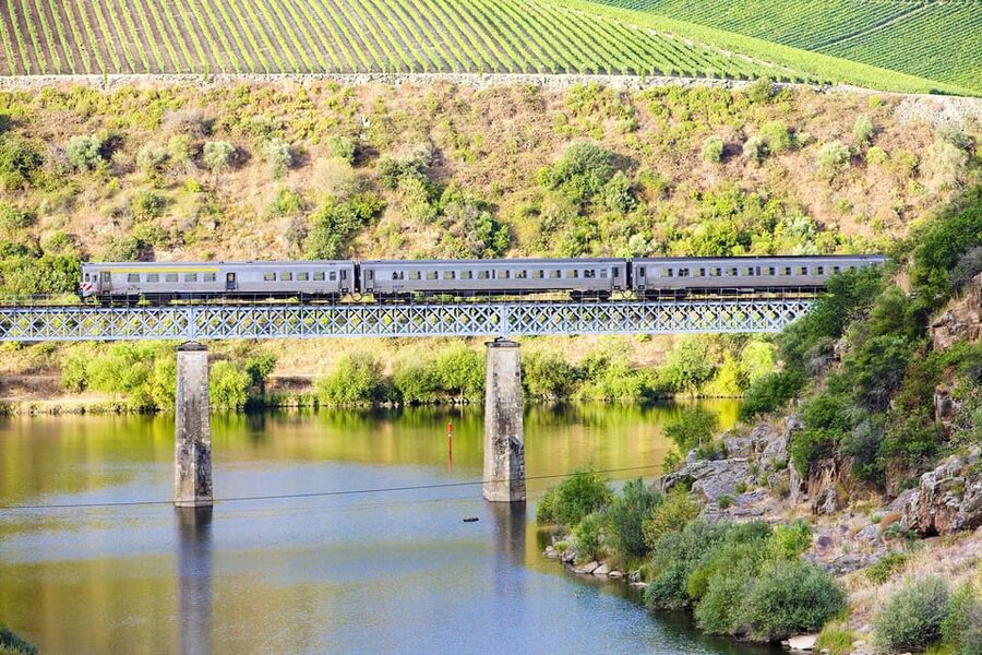 Régua: Wine tasting at a Quinta, traditional lunch, cruise, and train ride - How much value do you get?