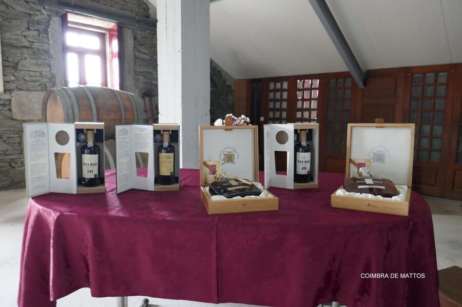Régua: Wine tasting at a Quinta, traditional lunch, cruise, and train ride - Five wines at Coimbra de Mattos