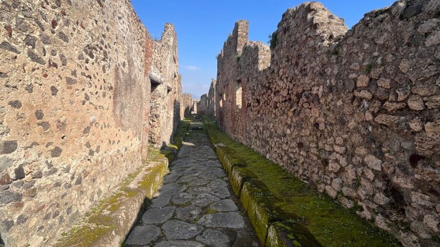 Rome: Pompeii Tour with Wine and Lunch by High Speed Train - A vineyard lunch beside Mount Vesuvius