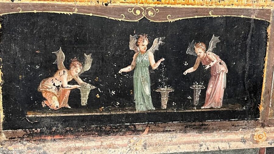 Rome: Pompeii Tour with Wine and Lunch by High Speed Train - Who should choose this day trip?