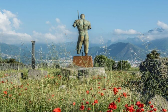 Rome to Pompeii Guided Tour with Wine & Lunch by High Speed Train - Is the $239 price fair?