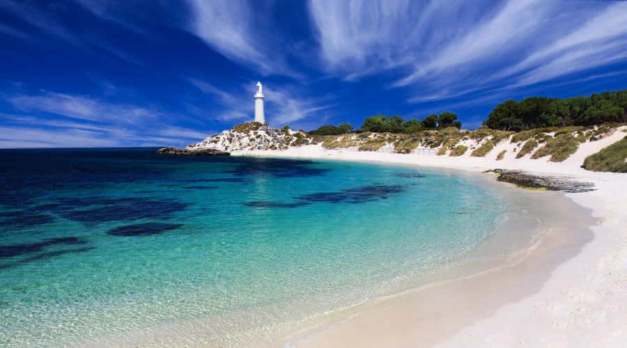 Rottnest Island: Grand Bus and Train Tour with Lunch - A useful first look at Rottnest Island