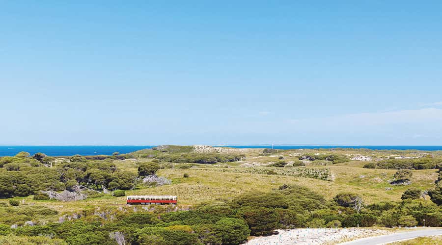 Rottnest Island: Grand Bus and Train Tour with Lunch - Lunch keeps the schedule moving