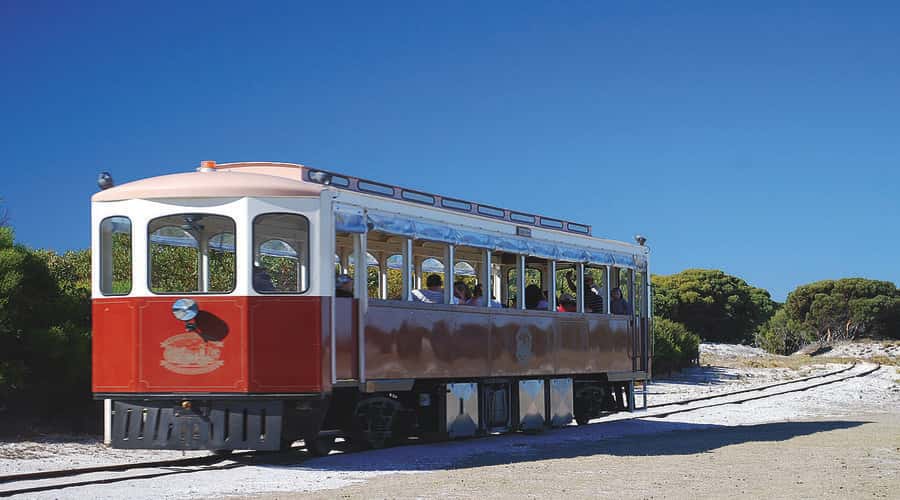 Rottnest Island: Grand Bus and Train Tour with Lunch - The bus circuit covers the island’s big picture