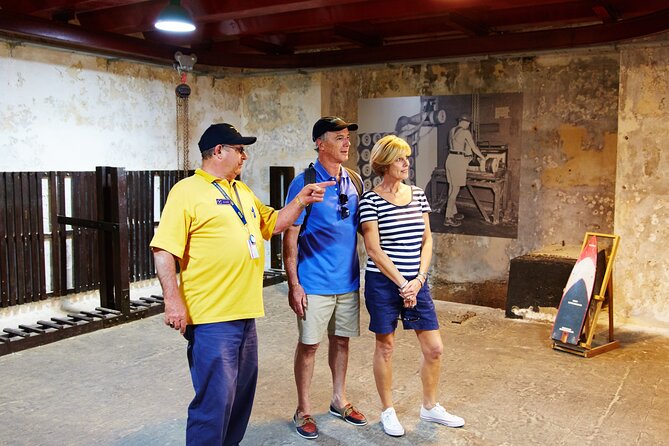 Rottnest Island Historical Train and Tunnel Tour from Hillarys Boat Harbour - The ferry from Hillarys: useful transport with coastal views