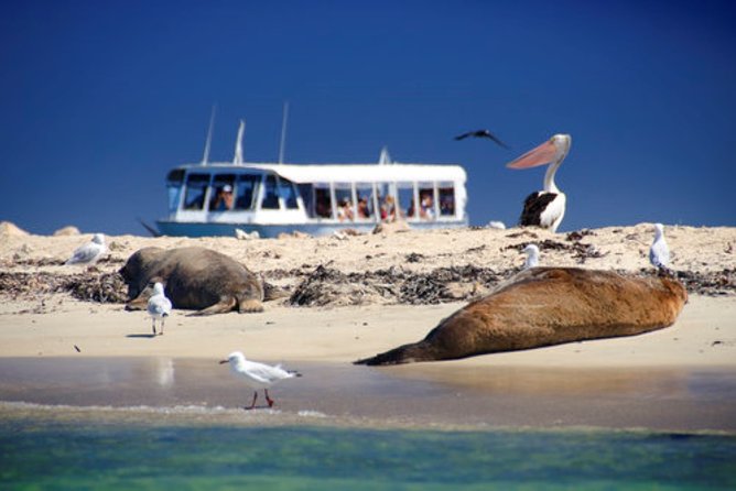 Rottnest Island Historical Train and Tunnel Tour from Hillarys Boat Harbour - Inside the World War II tunnels