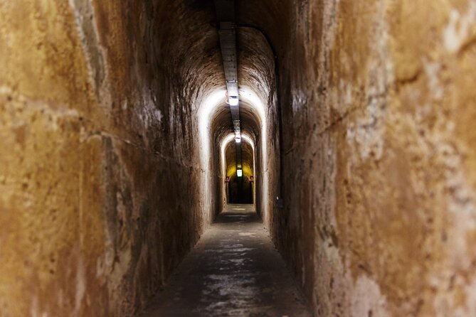Rottnest Island Historical Train and Tunnel Tour from Hillarys Boat Harbour - Is $93.24 good value?