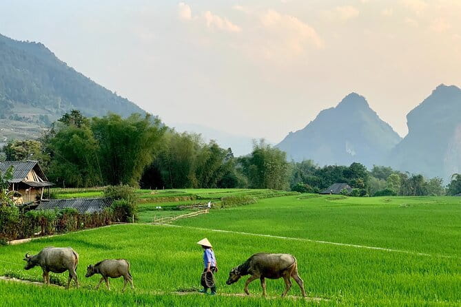 Sa Pa Trekking 2 Days 3 Nights Homestay by Night Train - Night train from Hanoi: useful, but not luxurious