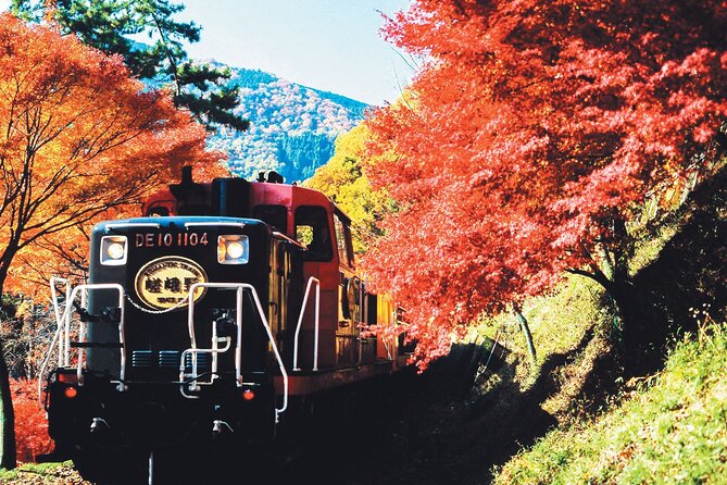 Sagano Romantic Train & Arashiyama, Kiyomizudera, Fushimi Inari Taisha Day Tour - Arashiyama, Bamboo, and Togetsukyo Bridge