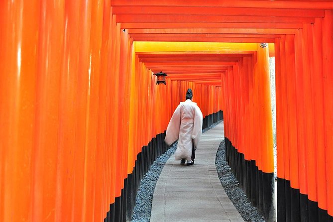 Sagano Romantic Train & Arashiyama, Kiyomizudera, Fushimi Inari Taisha Day Tour - Kiyomizudera and Kyoto from the Hillside