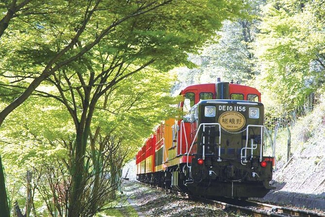 Sagano Romantic Train & Arashiyama, Kiyomizudera, Fushimi Inari Taisha Day Tour - Guides, Bus Comfort, and Tour Pace