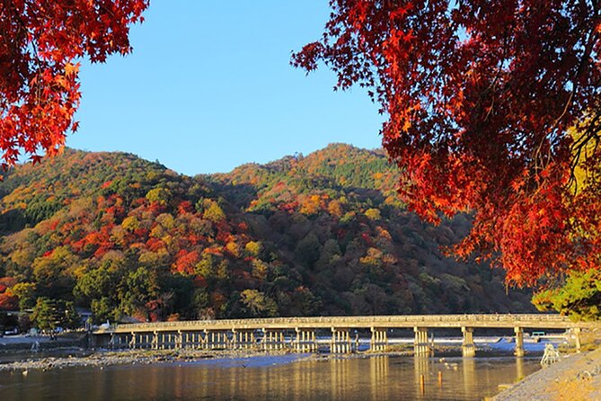 Sagano Romantic Train & Arashiyama, Kiyomizudera, Fushimi Inari Taisha Day Tour - Who Should Book This Kyoto Day Trip?