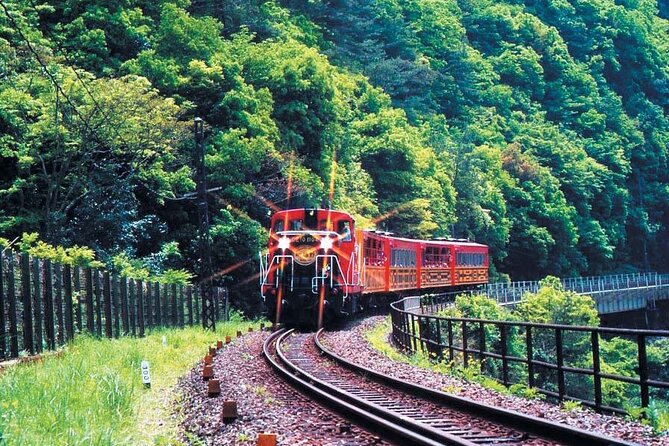 Sagano Romantic Train & Arashiyama, Kiyomizudera, Fushimi Inari Taisha Day Tour - Should You Book It?