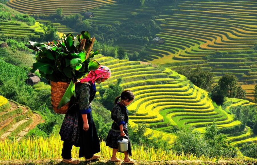 Sapa: 3-Day, 3-Night Trek and Hotel with Overnight Train - Key points to know before booking