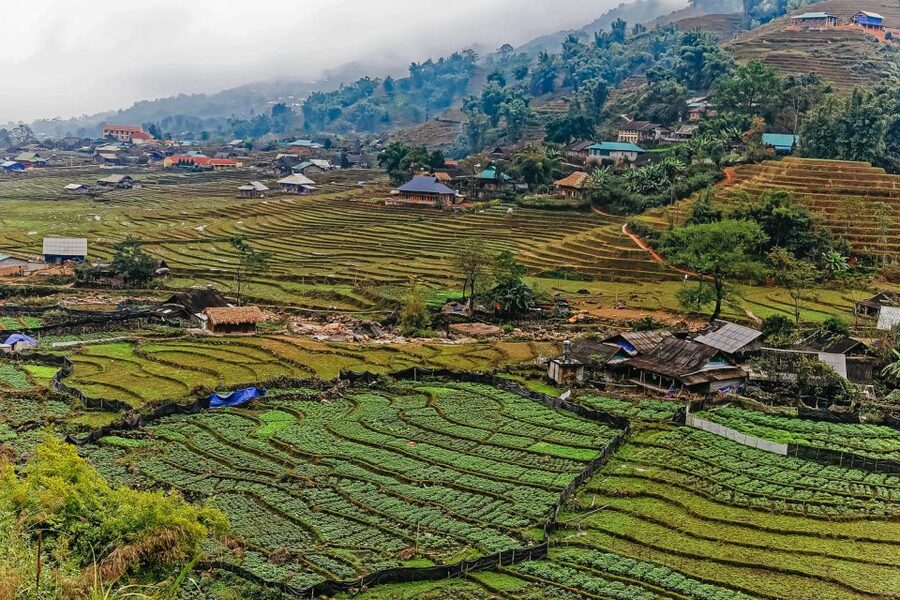 Sapa: 3-Day, 3-Night Trek and Hotel with Overnight Train - Day 1: Sin Chai and your first look at Sapa