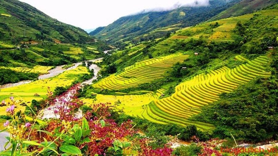 Sapa: 3-Day, 3-Night Trek and Hotel with Overnight Train - Is $212 good value?