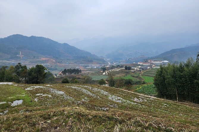 Sapa - Bac Ha Trek Tour - Night Train & Bus & Homestay overnight - Giang Ta Chai and the bamboo forest