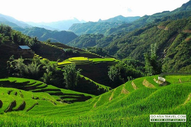 Sapa - Bac Ha Trek Tour - Night Train & Bus & Homestay overnight - One night in Ta Van with a local family