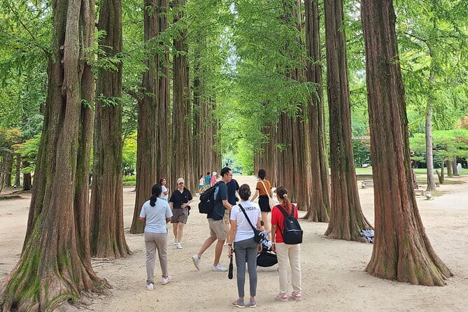Scenic Escape: Nami Island, Garden of Morning Calm, and Rail Bike - Key points at a glance