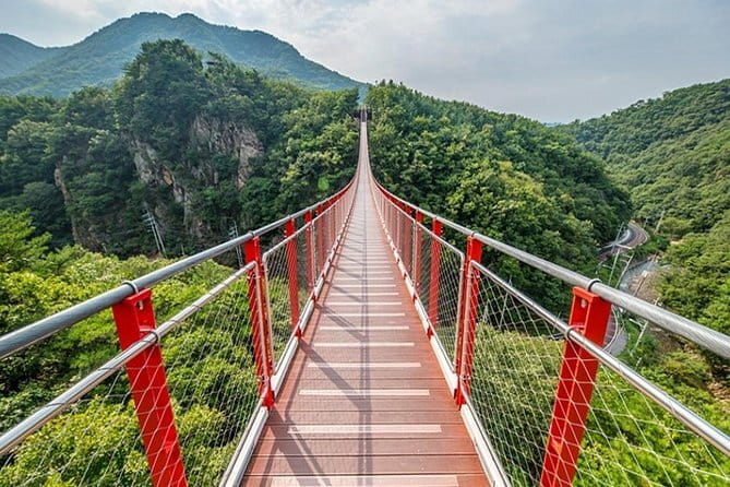 Scenic Escape: Nami Island, Garden of Morning Calm, and Rail Bike - Who should book this outing