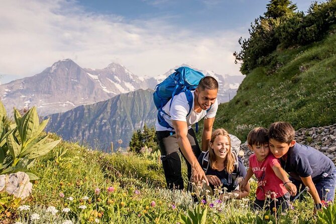Schynige Platte Cogwheel Railway Return Ticket - Schynige Platte at 1,967 meters