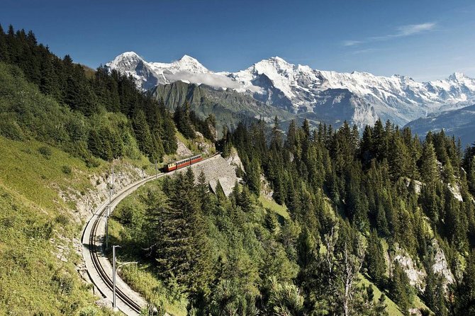 Schynige Platte Cogwheel Railway Return Ticket - The Botanical Alpine Garden and its 600 species